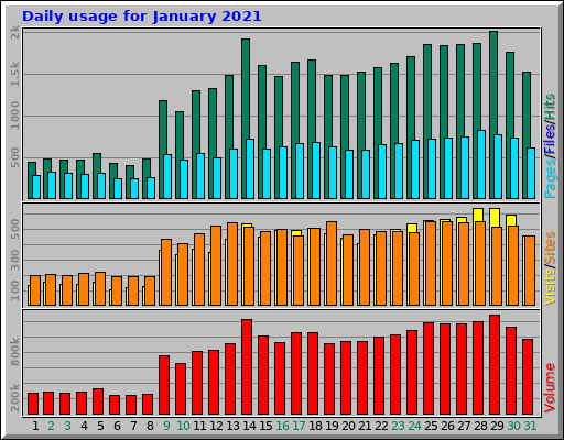 Daily usage for January 2021