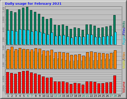 Daily usage for February 2021