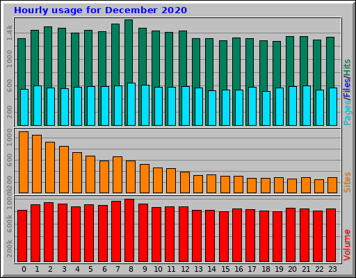 Hourly usage for December 2020