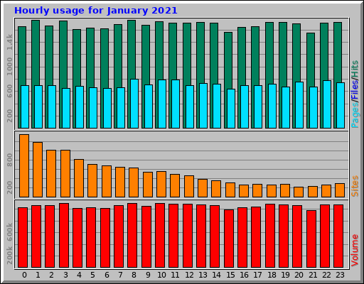 Hourly usage for January 2021