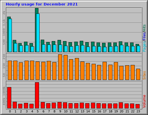 Hourly usage for December 2021