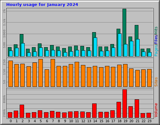 Hourly usage for January 2024