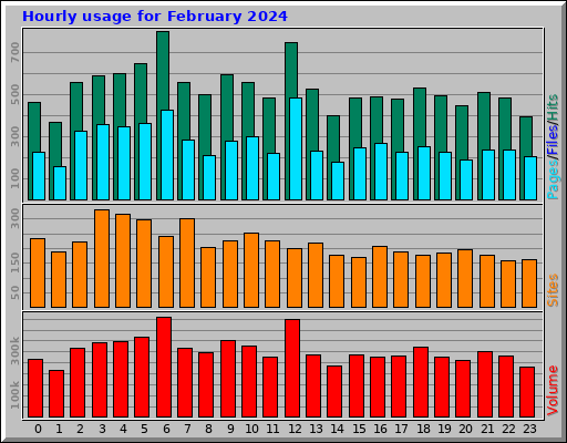 Hourly usage for February 2024