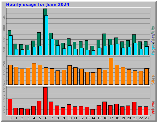 Hourly usage for June 2024