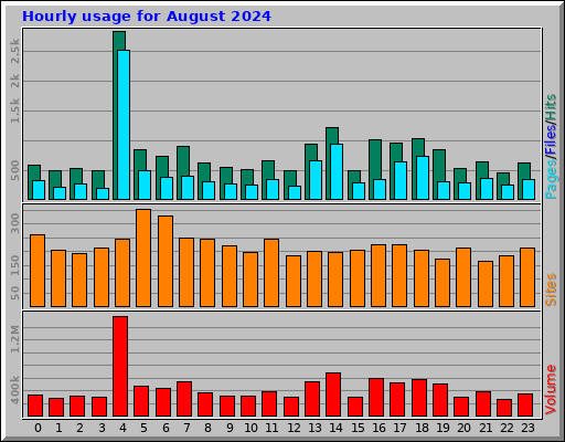 Hourly usage for August 2024